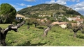 Terrain à bâtir à la vente